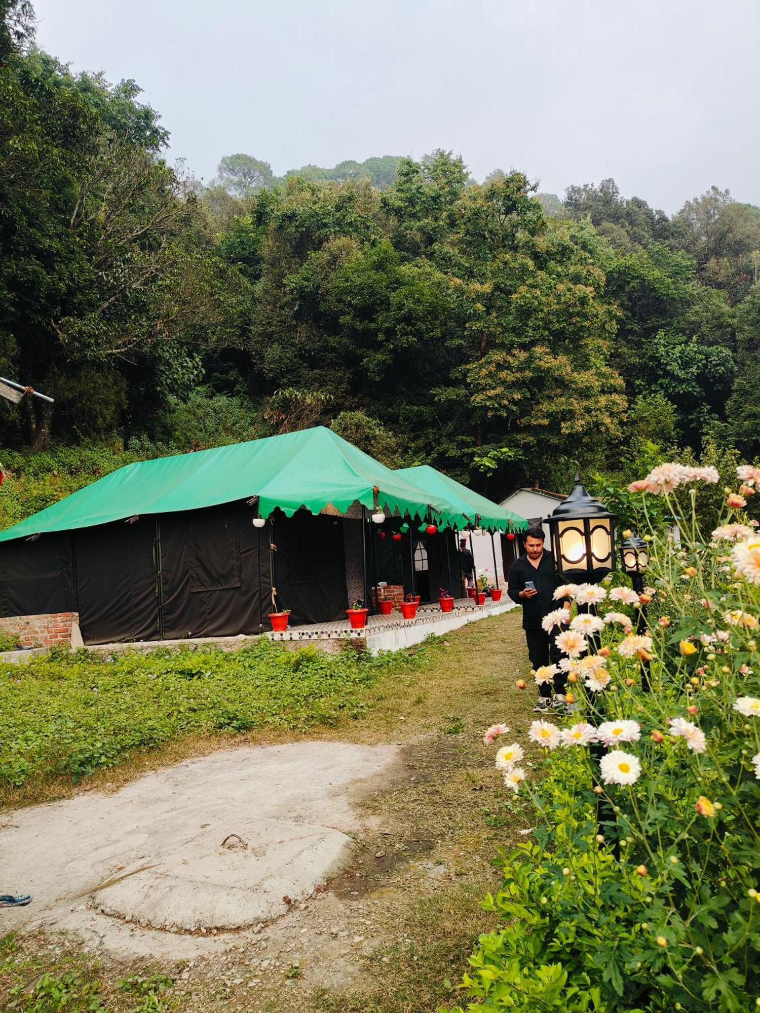 Campsite The Jungle Book By & Woods *