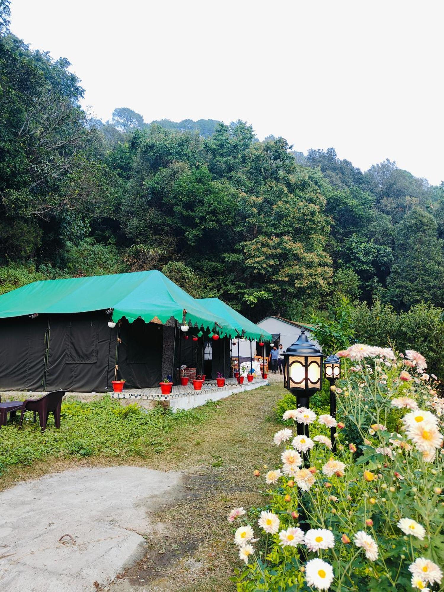 The Jungle Book By & Woods Campsite *