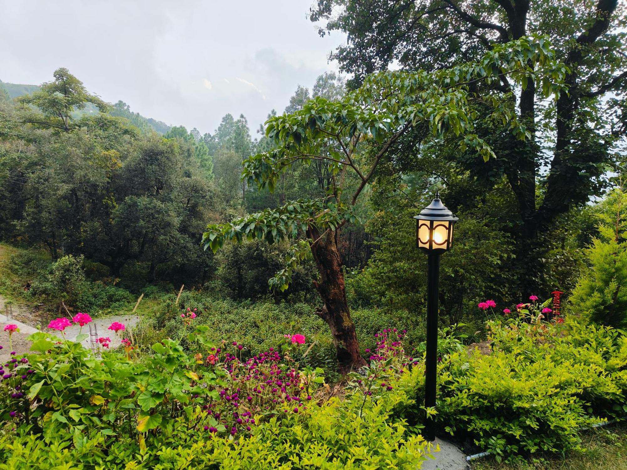 The Jungle Book By & Woods Campsite Bhimtal