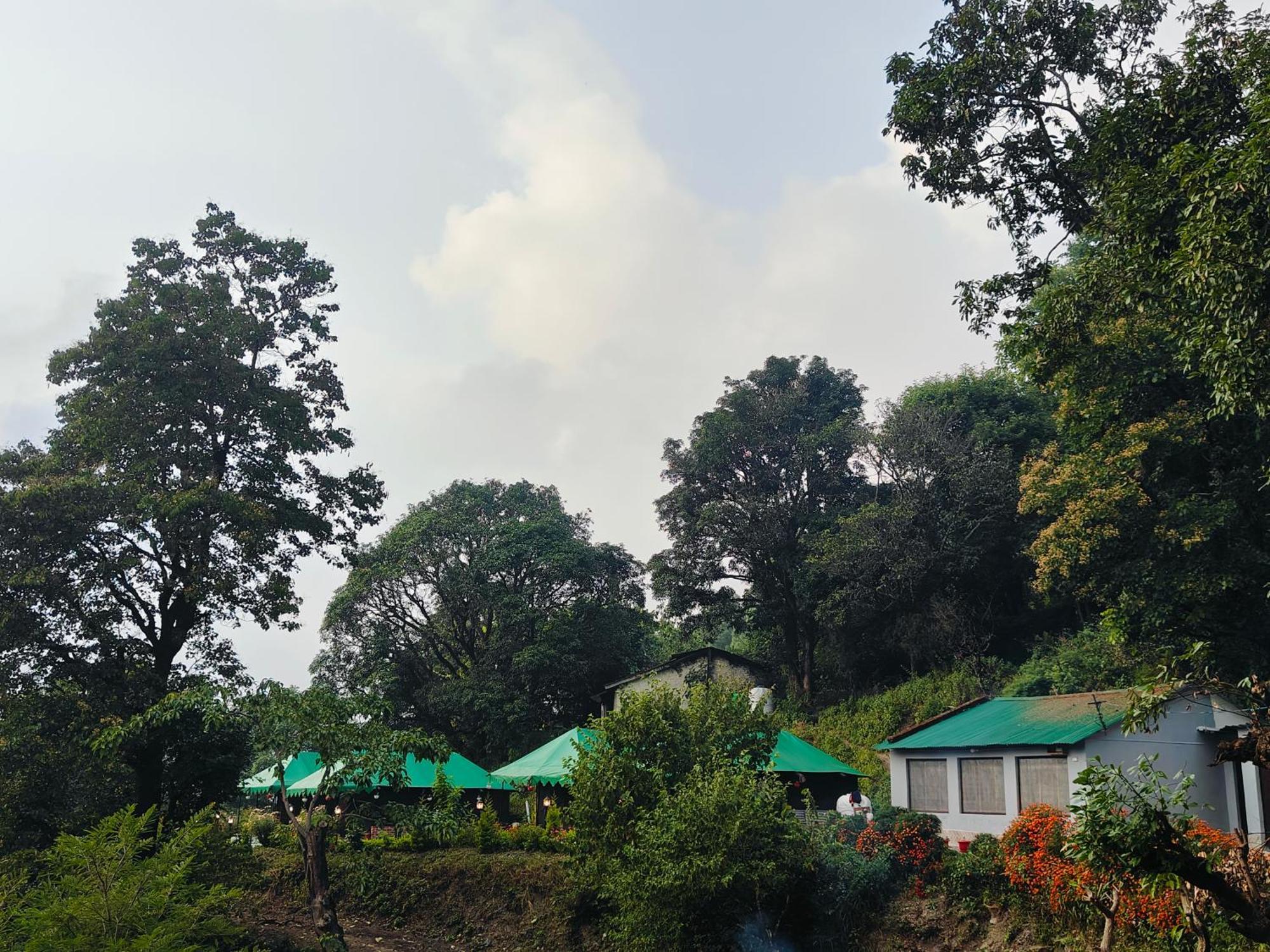 The Jungle Book By & Woods Campsite