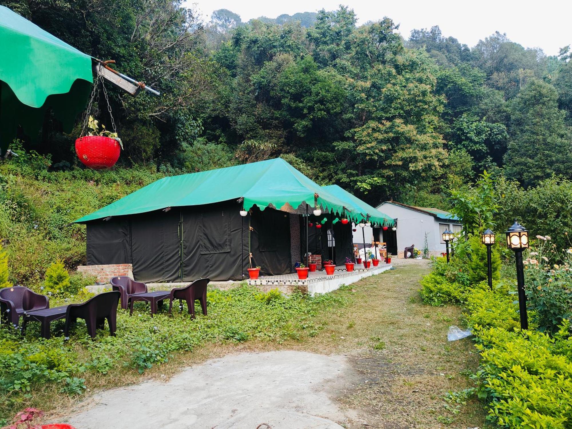 The Jungle Book By & Woods Campsite