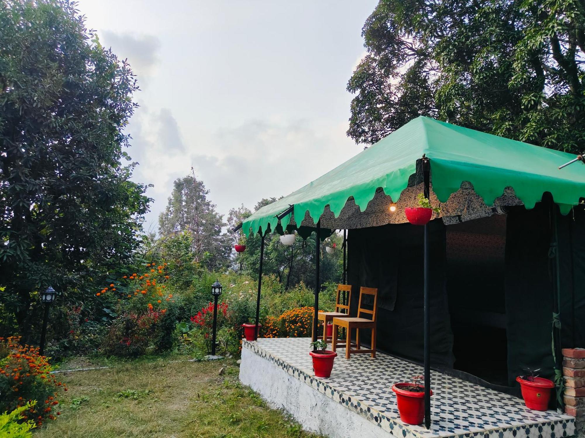The Jungle Book By & Woods Campsite *