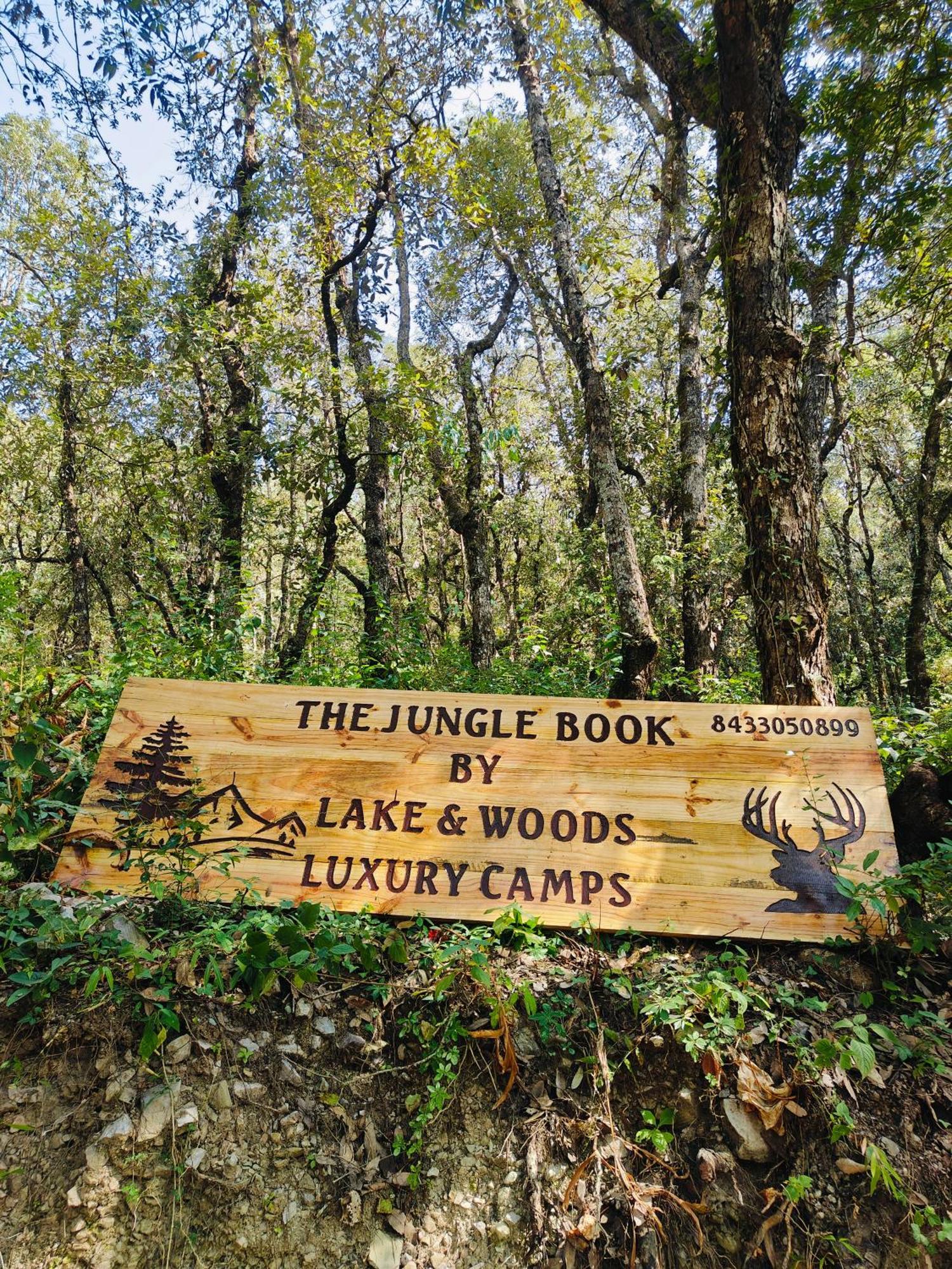 Campsite The Jungle Book By & Woods